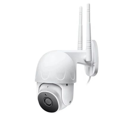 Alexa 1/3&quot; CMOS ile Kapalı Plug In Güvenlik Akıllı Güvenlik Kamerası Dome